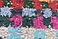 4' 10 x 7' Moroccan Rug thumbnail