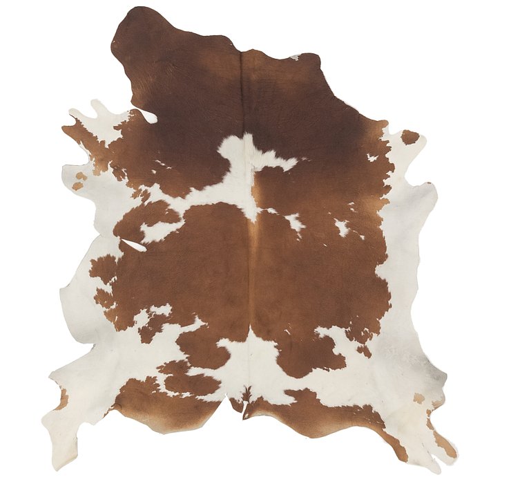 5' 4 x 5' 9 Cowhide Square Rug