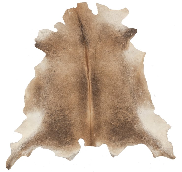 5' 10 x 6' 10 Cowhide Square Rug