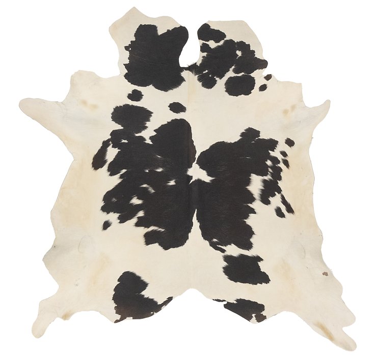 5' 5 x 5' 6 Cowhide Square Rug
