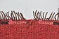 5' 9 x 12' 3 Moroccan Runner Rug thumbnail image 10