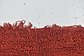3' 10 x 6' 7 Moroccan Rug thumbnail image 9