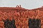 4' 9 x 6' 3 Moroccan Rug thumbnail image 10