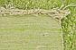 4' 9 x 8' 2 Moroccan Rug thumbnail