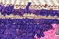HandKnotted 5' 6 x 9' 4 Moroccan Rug thumbnail image 10