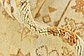 3' x 5' 3 Moroccan Rug thumbnail image 9
