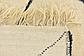 6' 8 x 9' 10 Moroccan Rug thumbnail
