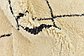 6' 6 x 9' 10 Moroccan Rug thumbnail image 9