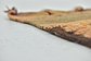 6' 8 x 13' 8 Moroccan Runner Rug thumbnail image 6