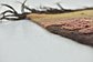 6' 3 x 16' 10 Moroccan Runner Rug thumbnail image 6