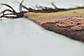 6' 3 x 16' 10 Moroccan Runner Rug thumbnail