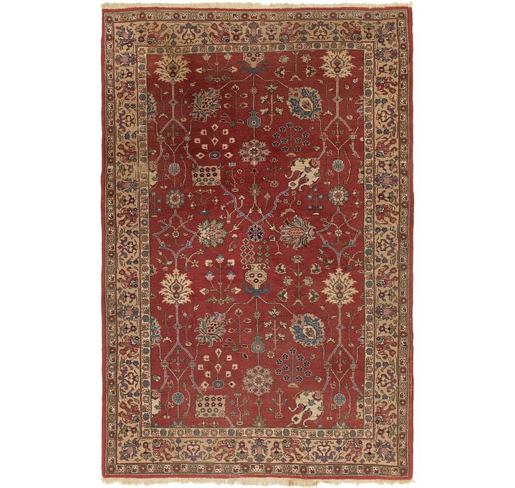 6' 3 x 9' 2 Classic Agra Persian Rug