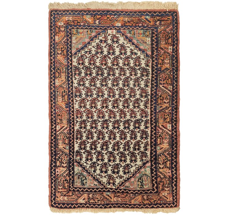 2' 8 x 4' 2 Kars Rug