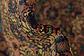 135cm x 305cm Hossainabad Persian Runner Rug thumbnail image 10