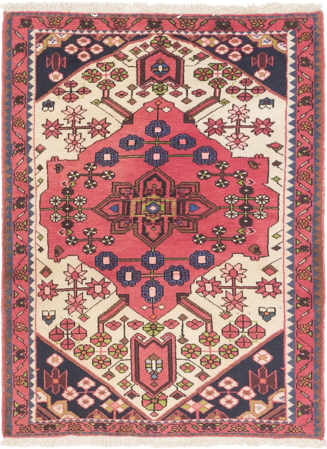 Red 3 5 X 4 9 Hamedan Persian Rug Erugs