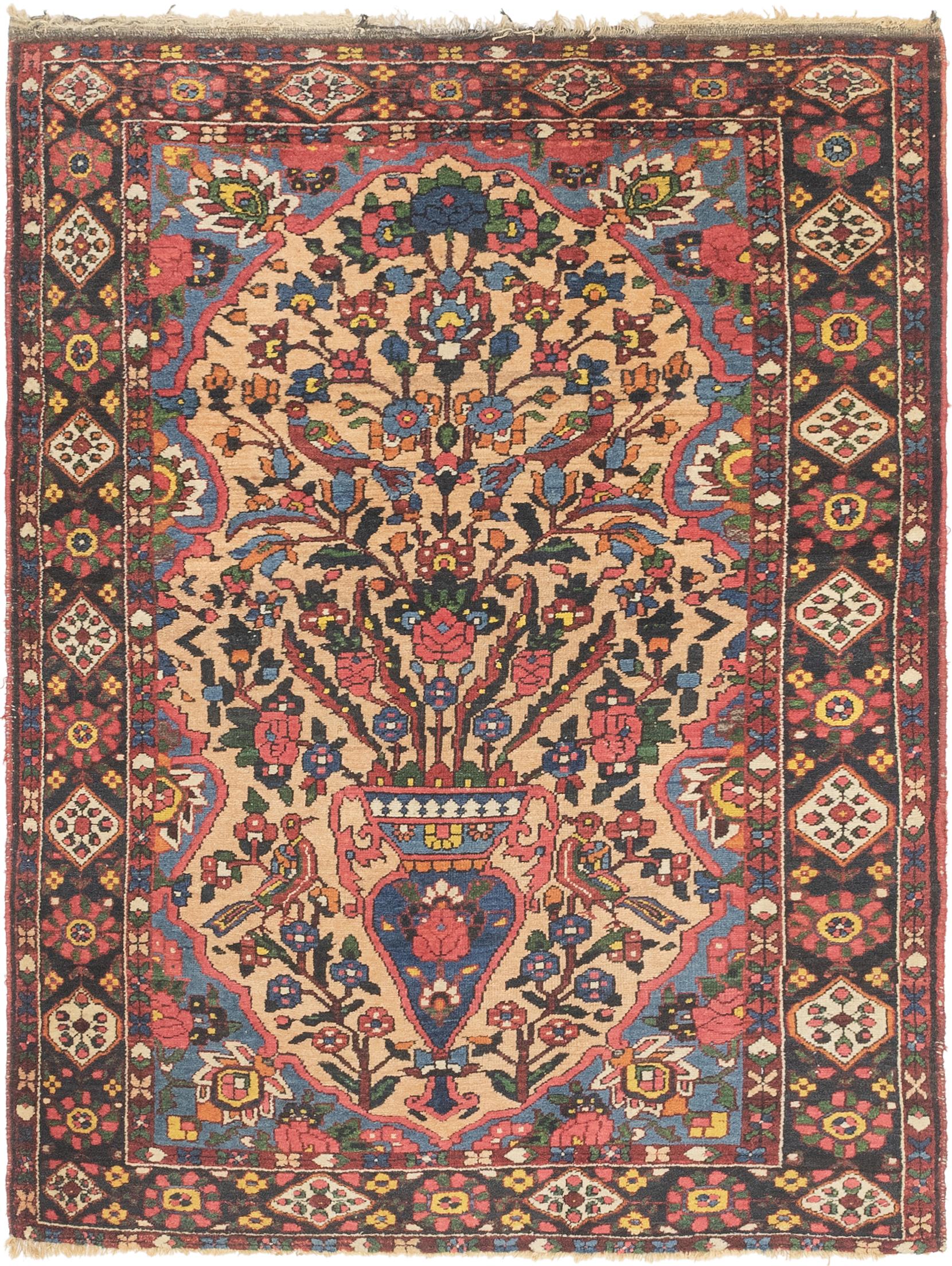 Tan 4 9 X 6 Bakhtiari Persian Rug Rugs Com