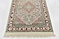 2' 8 x 9' 9 Kashmir Oriental Runner Rug thumbnail