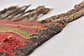 4' 9 x 10' 7 Moroccan Runner Rug thumbnail image 7