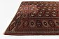6' x 10' Bokhara Oriental Rug thumbnail image 6