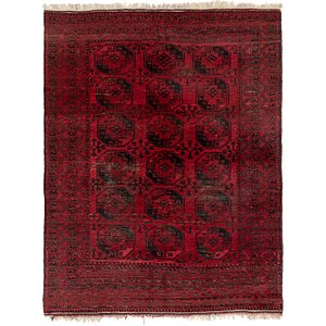 HandKnotted 8' x 10' 8 Afghan Akhche Rug