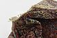 4' 8 x 7' 8 Kashmir Oriental Rug thumbnail