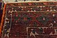 5' 6 x 7' 6 Ghashghaei Persian Rug thumbnail image 12