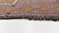 2' 7 x 3' 8 Balouch Persian Rug thumbnail image 8
