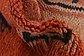 HandKnotted 6' 3 x 13' Moroccan Runner Rug thumbnail image 10