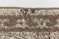 10' x 14' Bexley Rug thumbnail