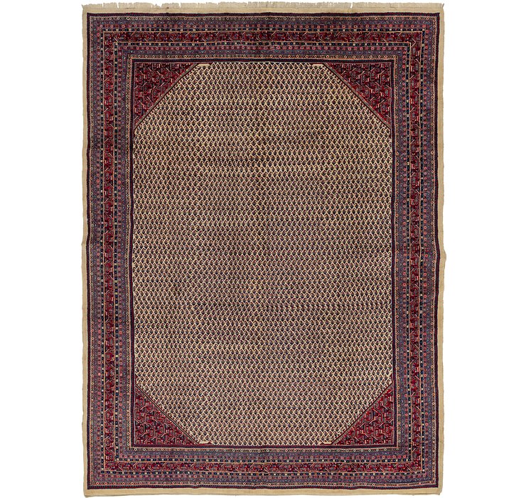10' x 13' 6 Botemir Persian Rug