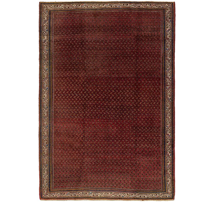 7' x 10' 7 Botemir Persian Rug