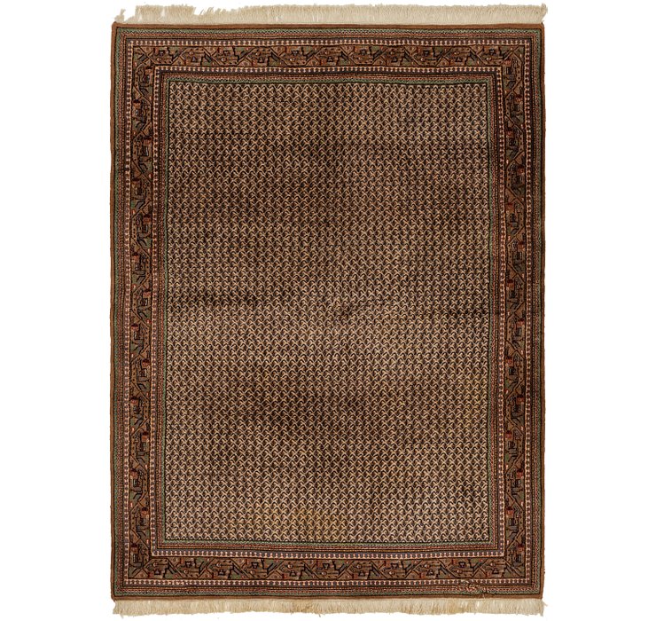 5' 8 x 7' 8 Botemir Persian Rug