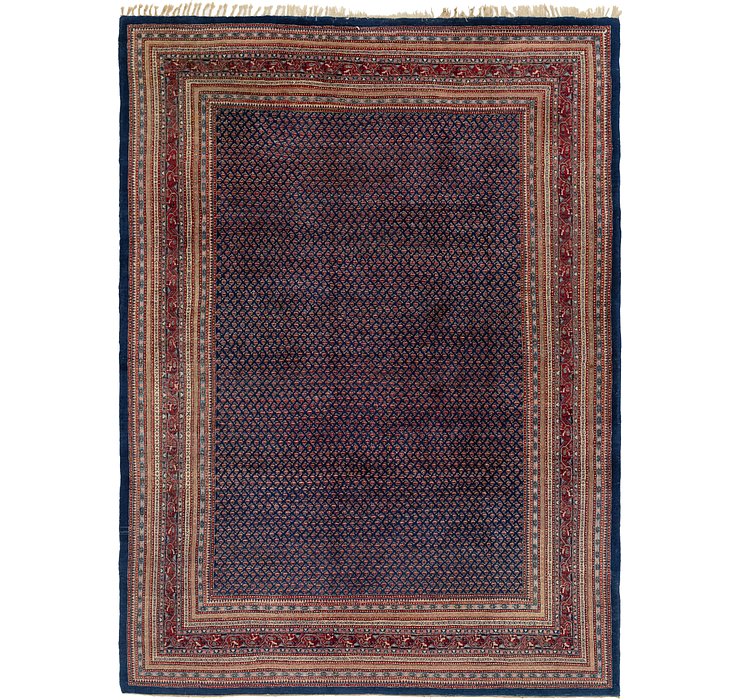 9' 2 x 12' 8 Botemir Persian Rug