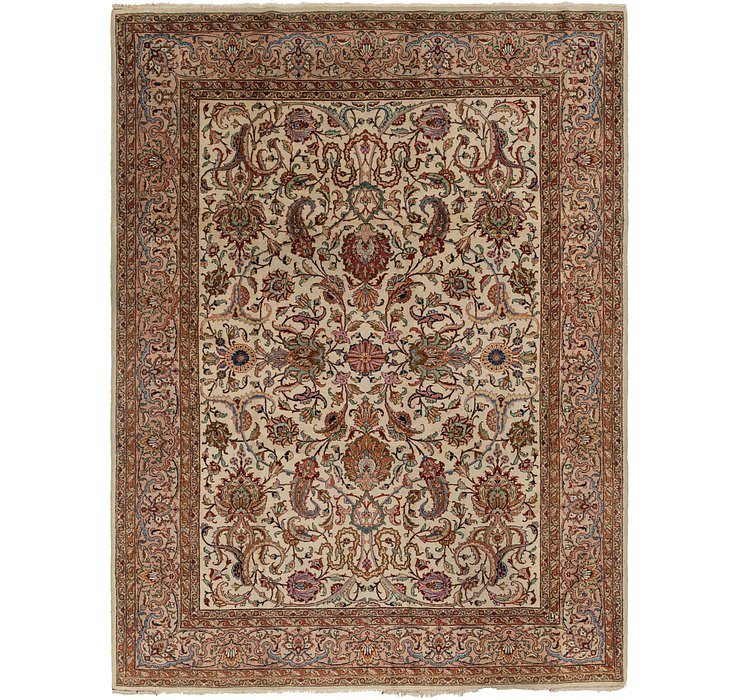 9' 4 x 12' 5 Classic Agra Rug