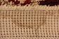 6' 5 x 9' Moroccan Rug thumbnail
