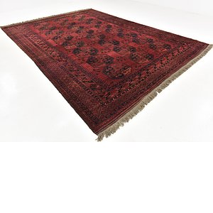 9' 9 x 13' 4 Afghan Akhche Rug