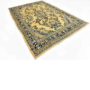 7' x 10' Hamedan Persian Rug