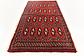 50cm x 102cm Torkaman Persian Rug thumbnail image 5