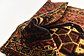 5' 5 x 8' 3 Ghashghaei Persian Rug thumbnail image 10