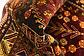 5' 2 x 8' Ghashghaei Persian Rug thumbnail