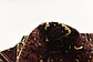 3' 9 x 5' Ghashghaei Persian Rug thumbnail image 10