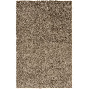 Hadorn 4' 10 x 8' Solid Shag Rug