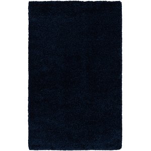 Hadorn 5' x 8' Solid Shag Rug