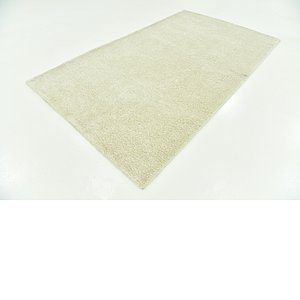 Hadorn 4' 9 x 8' Solid Shag Rug