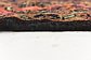3' 10 x 16' Shahsavand Persian Runner Rug thumbnail image 8