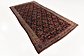 5' 3 x 10' 3 Shahsavand Persian Runner Rug thumbnail image 2