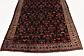 160cm x 312cm Shahsavand Persian Runner Rug thumbnail image 5