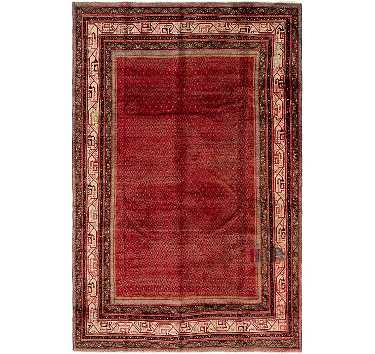 6' 10 x 10' 7 Botemir Persian Rug