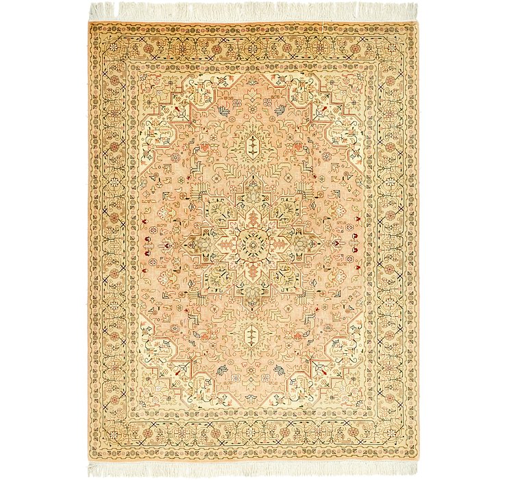 5' x 6' 8 Tabriz Persian Rug
