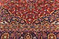 9' 6 x 12' 9 Kashan Persian Rug thumbnail image 5